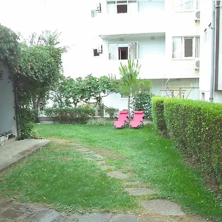 Cozy 招待所
